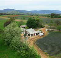 Schmidts Strawberry Winery - New Castle Holiday