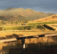 Optimiste Wines - New Castle Holiday