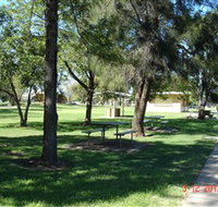 Inglewood Apex-Lions Park - New Castle Holiday