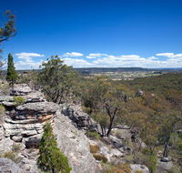 Munghorn Gap Nature Reserve - New Castle Holiday