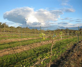 Flyfaire Wines - New Castle Holiday 7