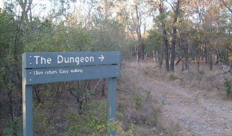 Atholwood NSW New Castle Holiday