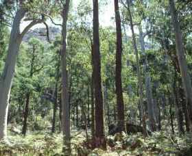 Cathedral Range State Park - New Castle Holiday 0