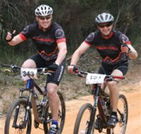 Trailhead Bike Co. - New Castle Holiday