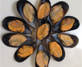 Advance Mussel Supply - New Castle Holiday 3