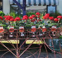 Van Loon's Nursery - New Castle Holiday