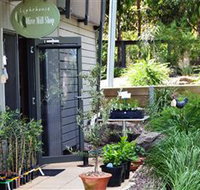 The Lighthouse Olive Mill Shop - New Castle Holiday