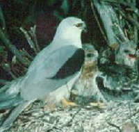 Bushy Park Wetlands - New Castle Holiday