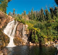 Steavenson Falls Marysville - New Castle Holiday