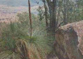 Mount Lawson State Park - New Castle Holiday 0