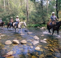Howqua Hills Historic Area - New Castle Holiday