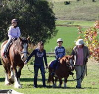 Bathurst Farm Experience - New Castle Holiday