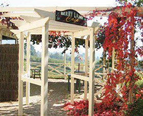 Blue Hills Berries & Cherries - New Castle Holiday 1