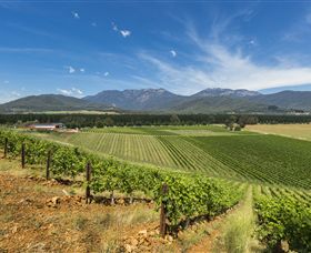 Feathertop Winery - New Castle Holiday 3