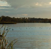 Lake Inverell Reserve - New Castle Holiday