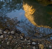 Abercrombie Karst Conservation Reserve - New Castle Holiday