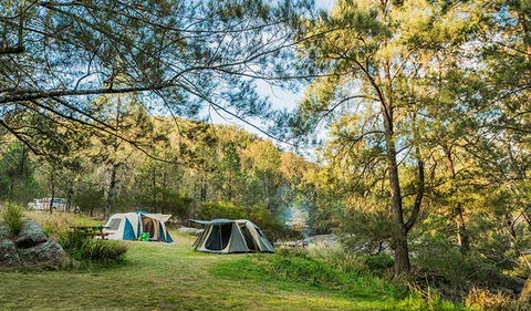 Warrabah National Park - New Castle Holiday 1