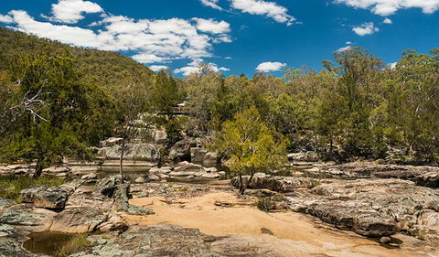 Warrabah National Park - New Castle Holiday 3