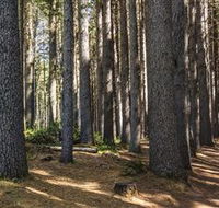Sugarpine Walk - New Castle Holiday