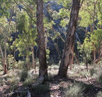 Mount Gray walking track - New Castle Holiday