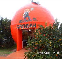 Gayndahs Big Orange - New Castle Holiday