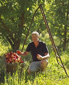 Mock Red Hill - New Castle Holiday 1