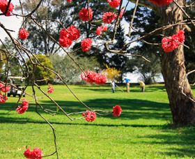 The Yass Golf Club - New Castle Holiday 0