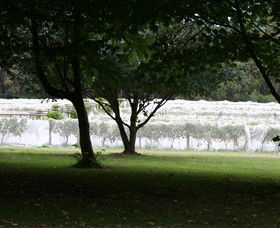 Staindl Wines - New Castle Holiday 0