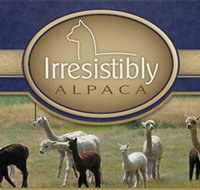 Marchmont Park Alpacas - New Castle Holiday