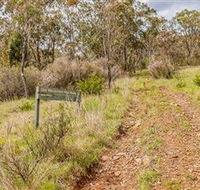 Old Mountain Road Walking Track - New Castle Holiday