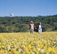 Koolanooka Springs - New Castle Holiday