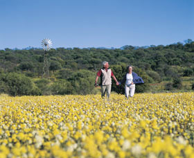 Koolanooka Springs - New Castle Holiday 0