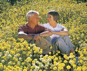 Koolanooka Springs - New Castle Holiday 3