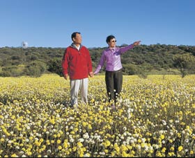 Koolanooka Springs - New Castle Holiday 1