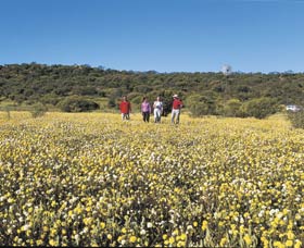 Koolanooka Springs - New Castle Holiday 2