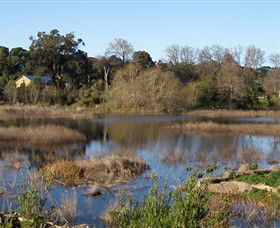 Coolart Wetlands And Homestead - New Castle Holiday 0