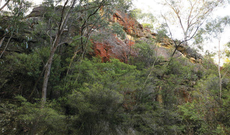 Wolgan Valley NSW New Castle Holiday