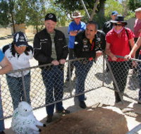 Fossil Rock - New Castle Holiday