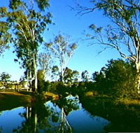 Dingo Creek Park - New Castle Holiday