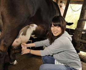 Warrook Farm - New Castle Holiday 2