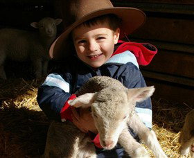 Warrook Farm - New Castle Holiday 1