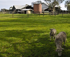 Warrook Farm - New Castle Holiday 4