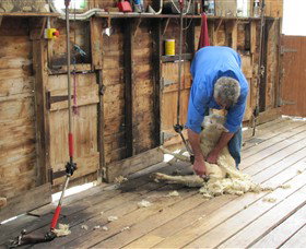 Warrook Farm - New Castle Holiday 3