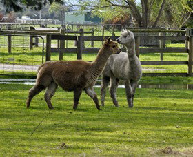 Warrook Farm - New Castle Holiday 6