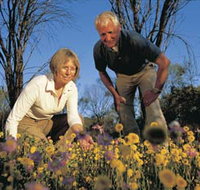 Canna Reserve - New Castle Holiday