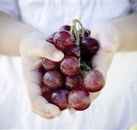 Granitevale  Estate Winery - New Castle Holiday