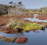 French Island National Park - New Castle Holiday