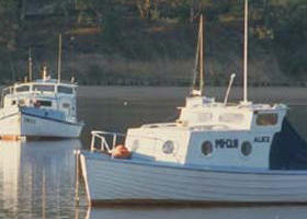 Western Port - New Castle Holiday 0