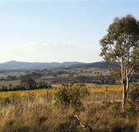 Yarrh Wines - New Castle Holiday