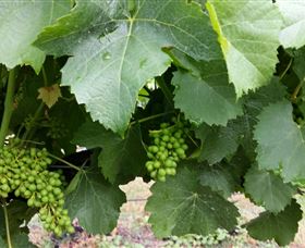 Kerralee Wines - New Castle Holiday 1